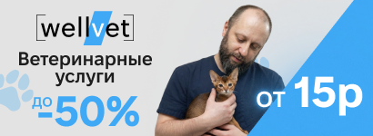 WellVet