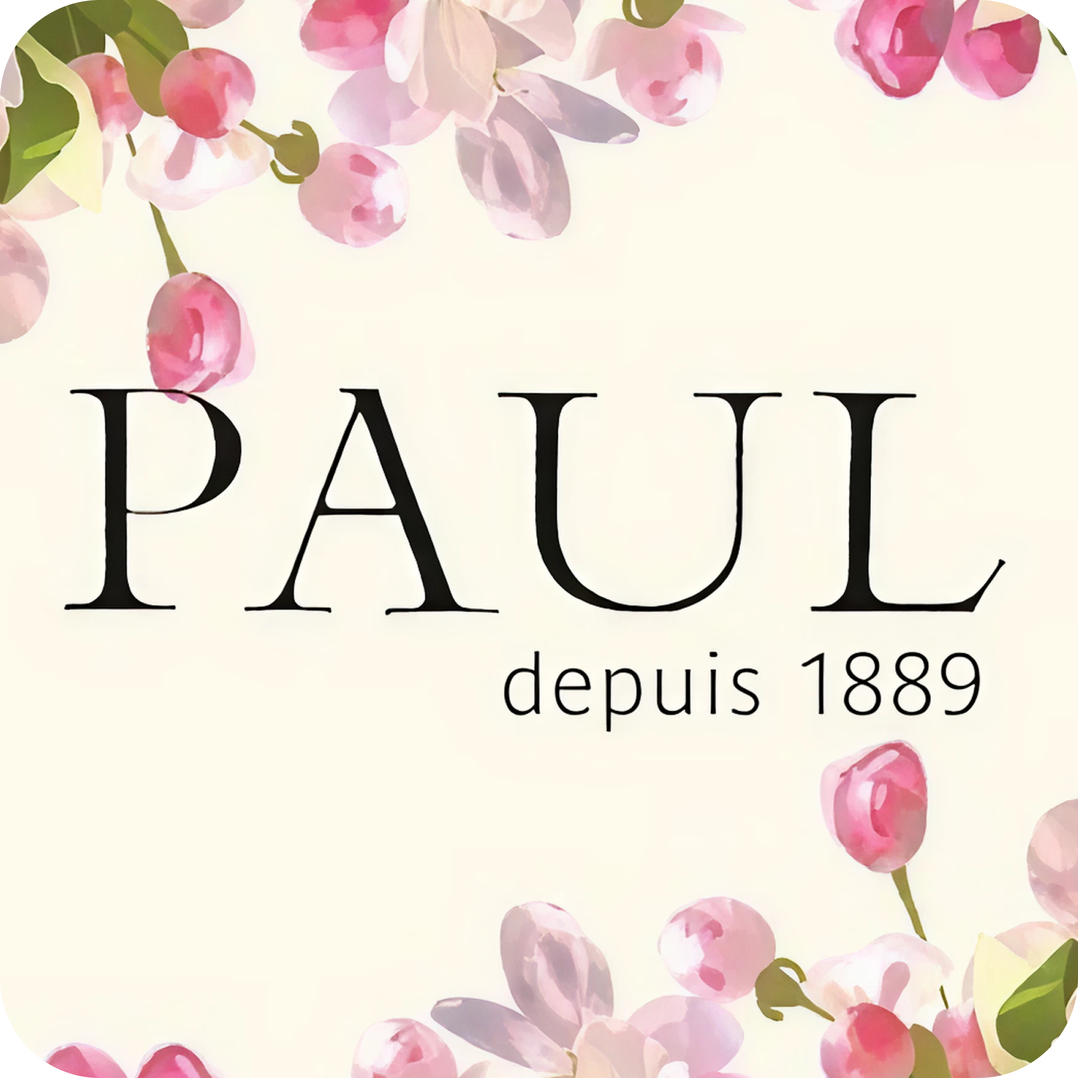 Обеденное меню в кафе-пекарне "PAUL"