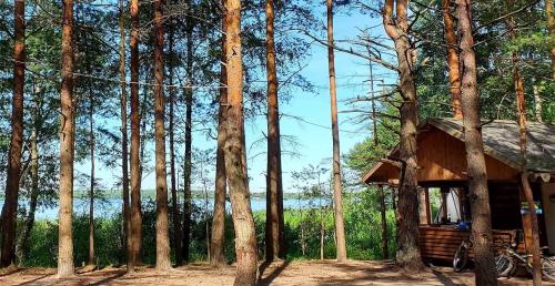 Кемпинг "Клевое место": летний домик, баня-бочка от 65р