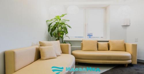 Малая зона в подарок! Лазерная эпиляция от 12р на DEKA Motus AX в медцентре "ИдеалМед"