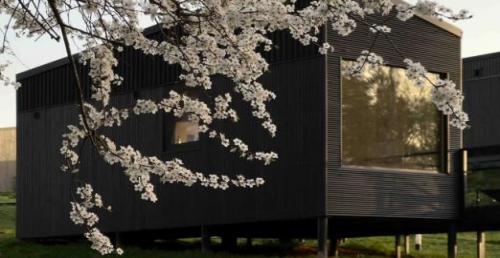 Модульный дом "Nomad Houses" на Браславских озерах со скидкой 50%