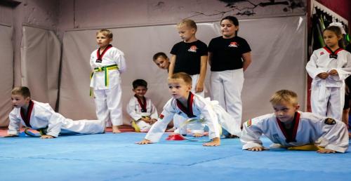 Занятия по таэквондо от 8р в "Taekwondo Club Vektor"