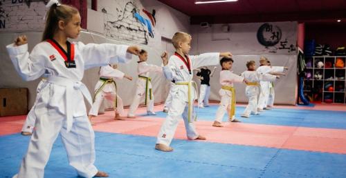 Занятия по таэквондо от 8р в "Taekwondo Club Vektor"