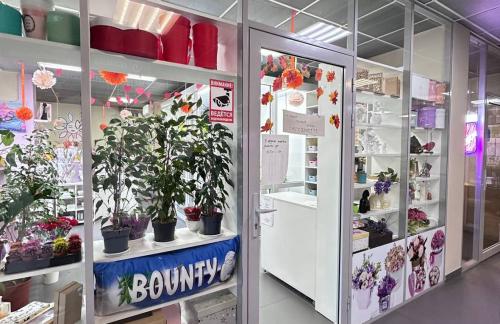 Розы от 2,15р, букеты из ромашковых хризантем, кустовых роз от 39р в "ЦветОК"